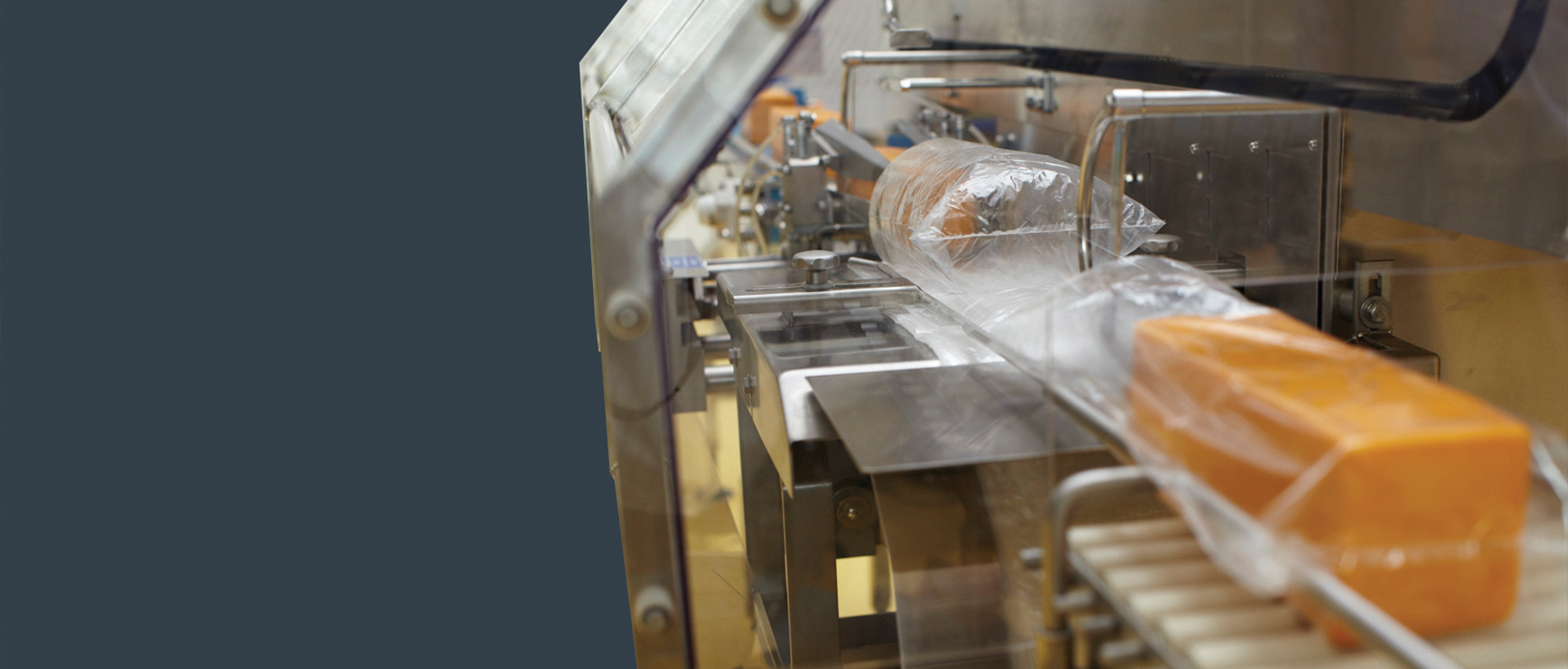 PDP-Bag Dispensing Automated Loaders-1