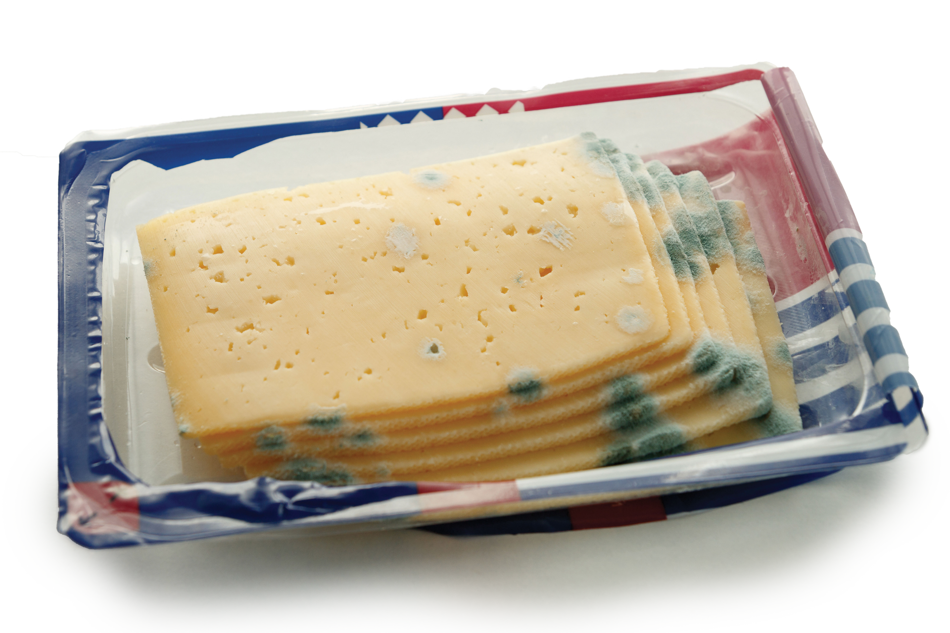 moldycheese-truecostofdamage