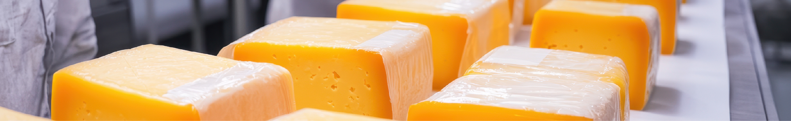 Cheese wheels