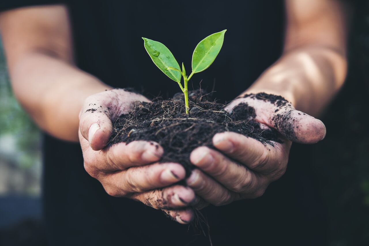 Composting