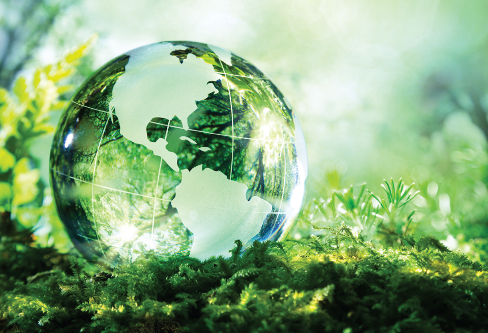 sustainability-myths-misconceptions-facts-guide-globe-nature