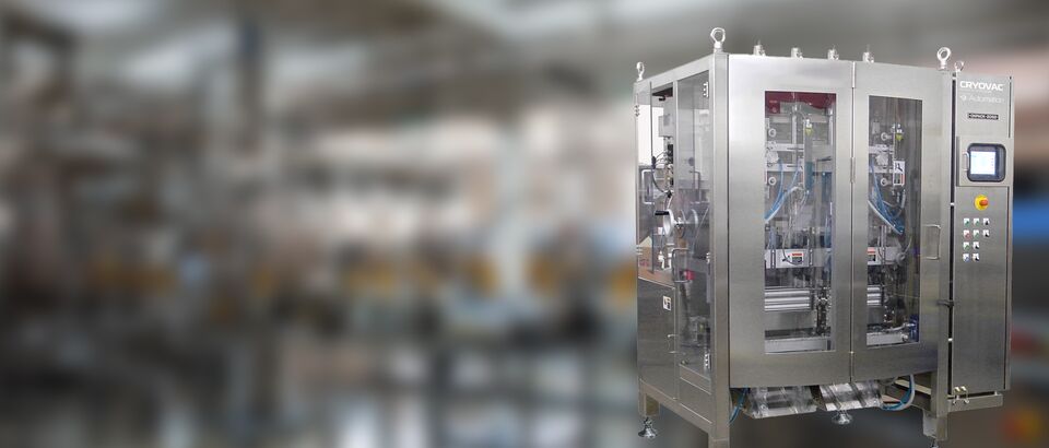 PDP-Form Fill Seal Equipments-3