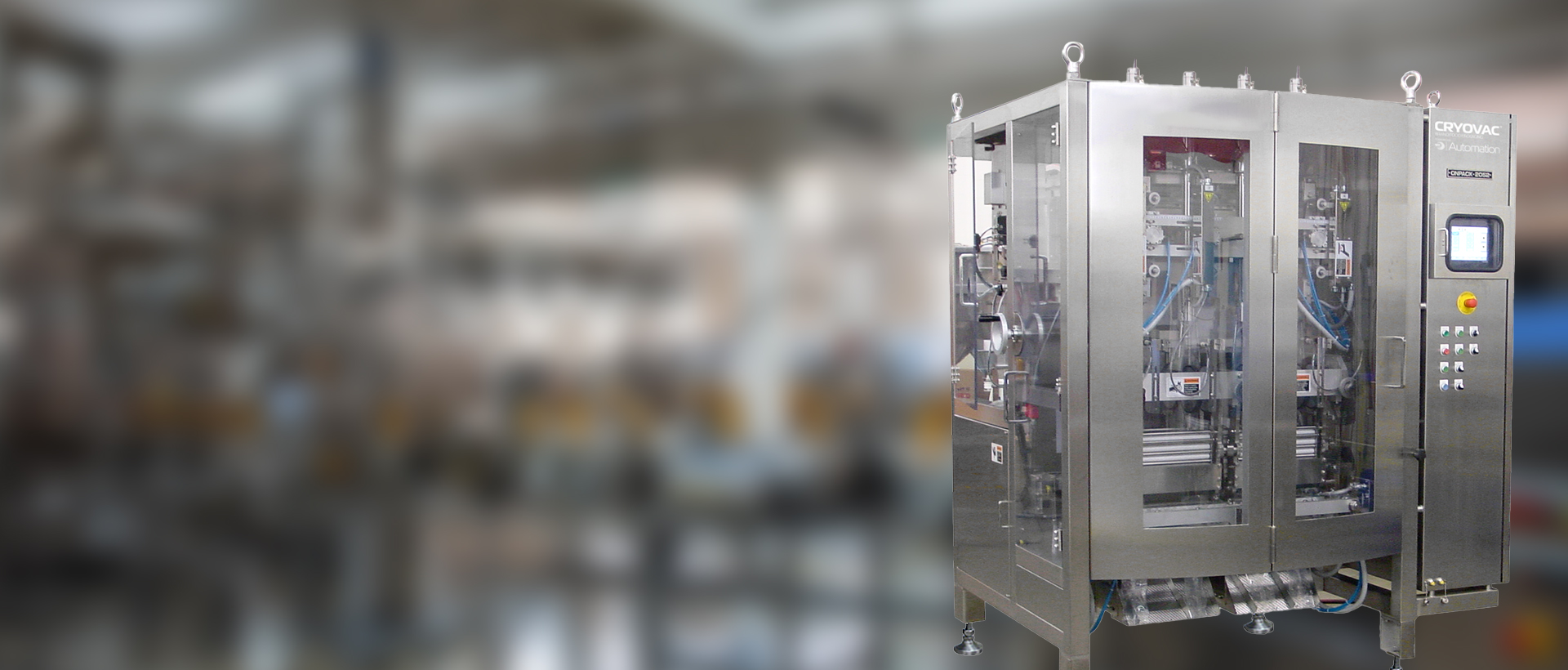 PDP-Form Fill Seal Equipments-3
