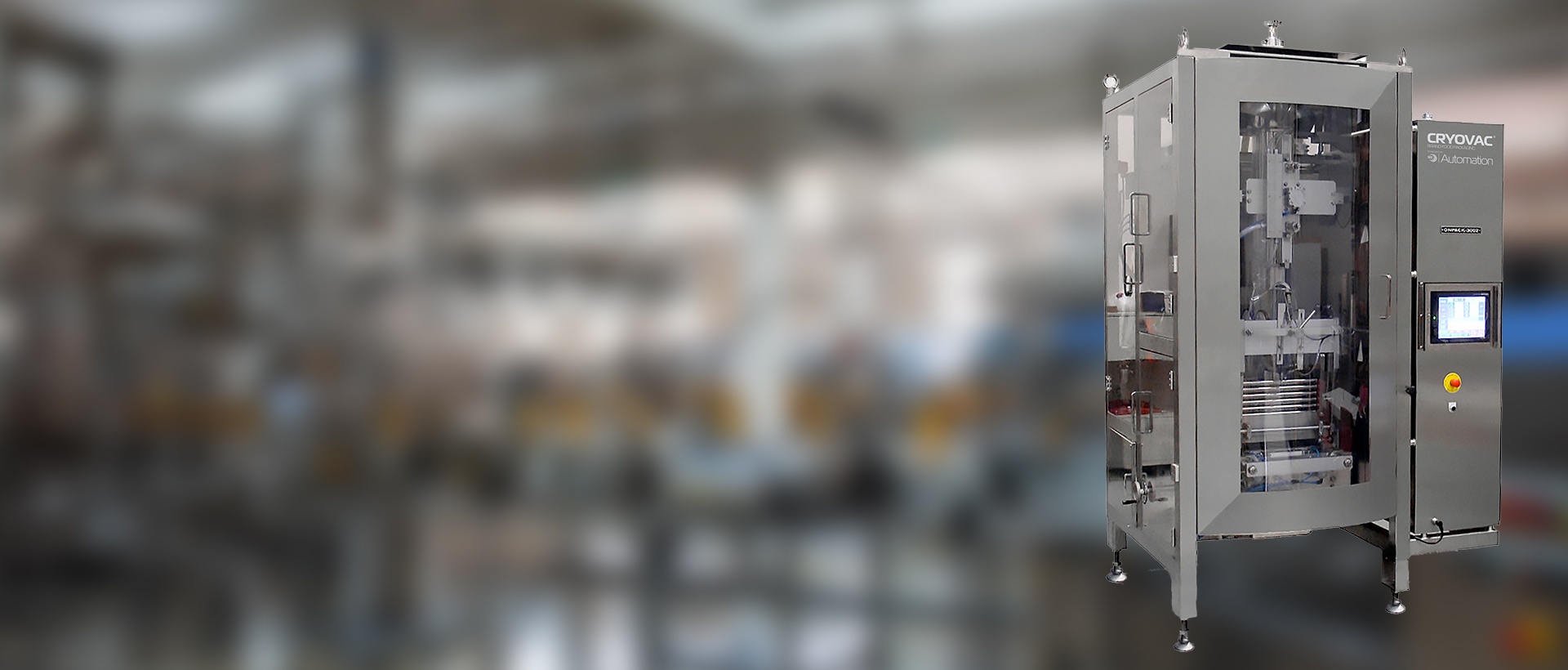 PDP-Form Fill Seal Equipments-2