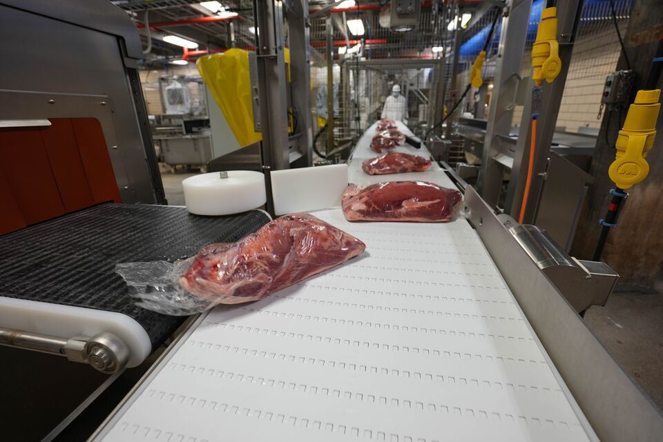 proteins-automation-auto-assist-pack-off-conveyor-2
