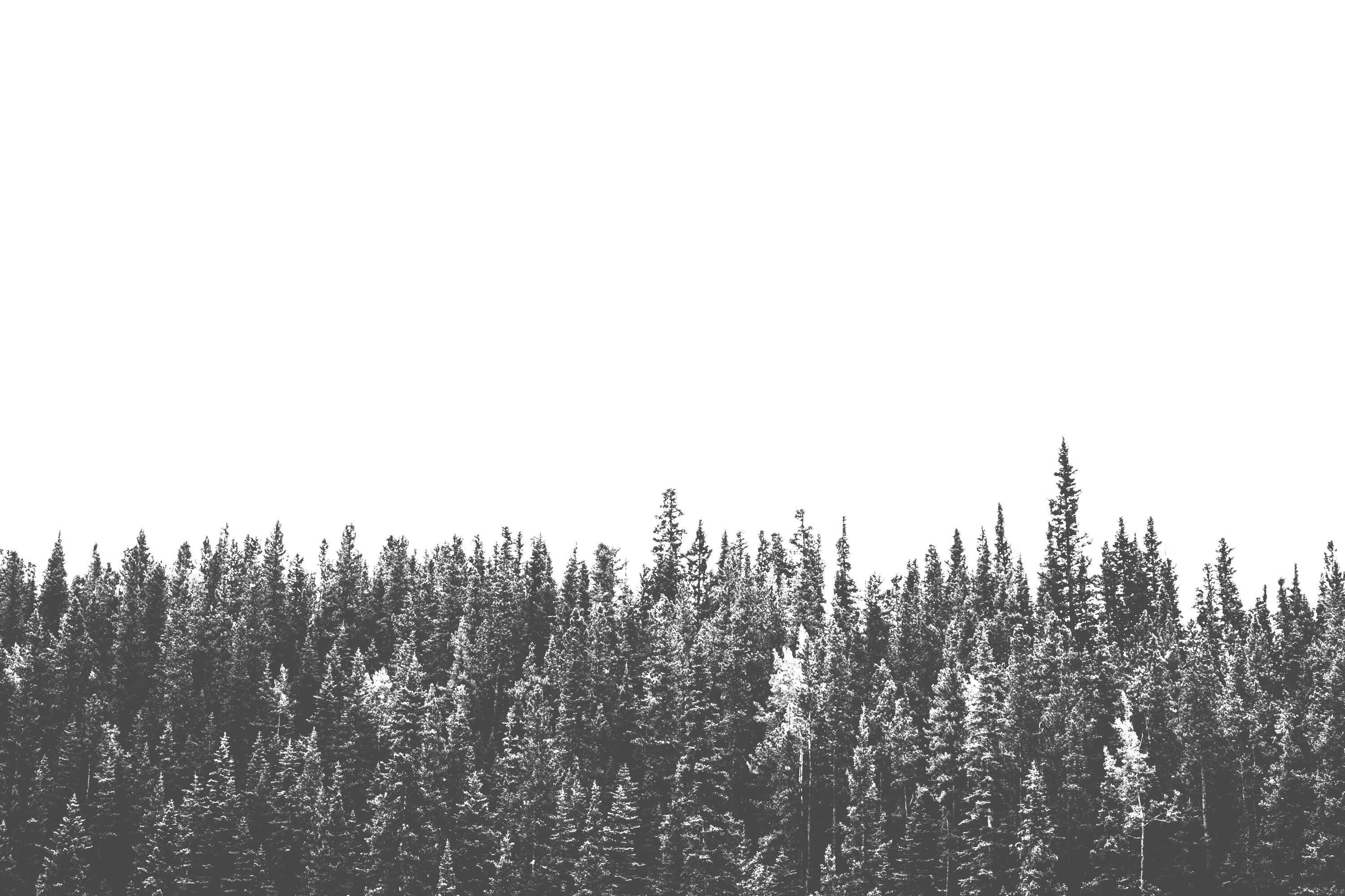 michael-benz-IZ2sgQKIhM-unsplash (1)