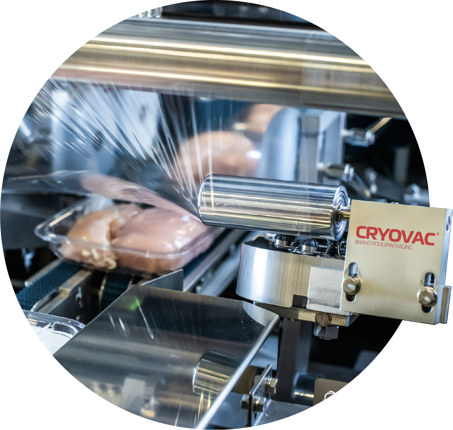 poultry-packaging-automation
