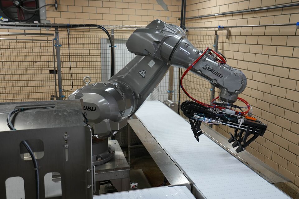proteins-automation-auto-assist-pick-and-place-robot-8