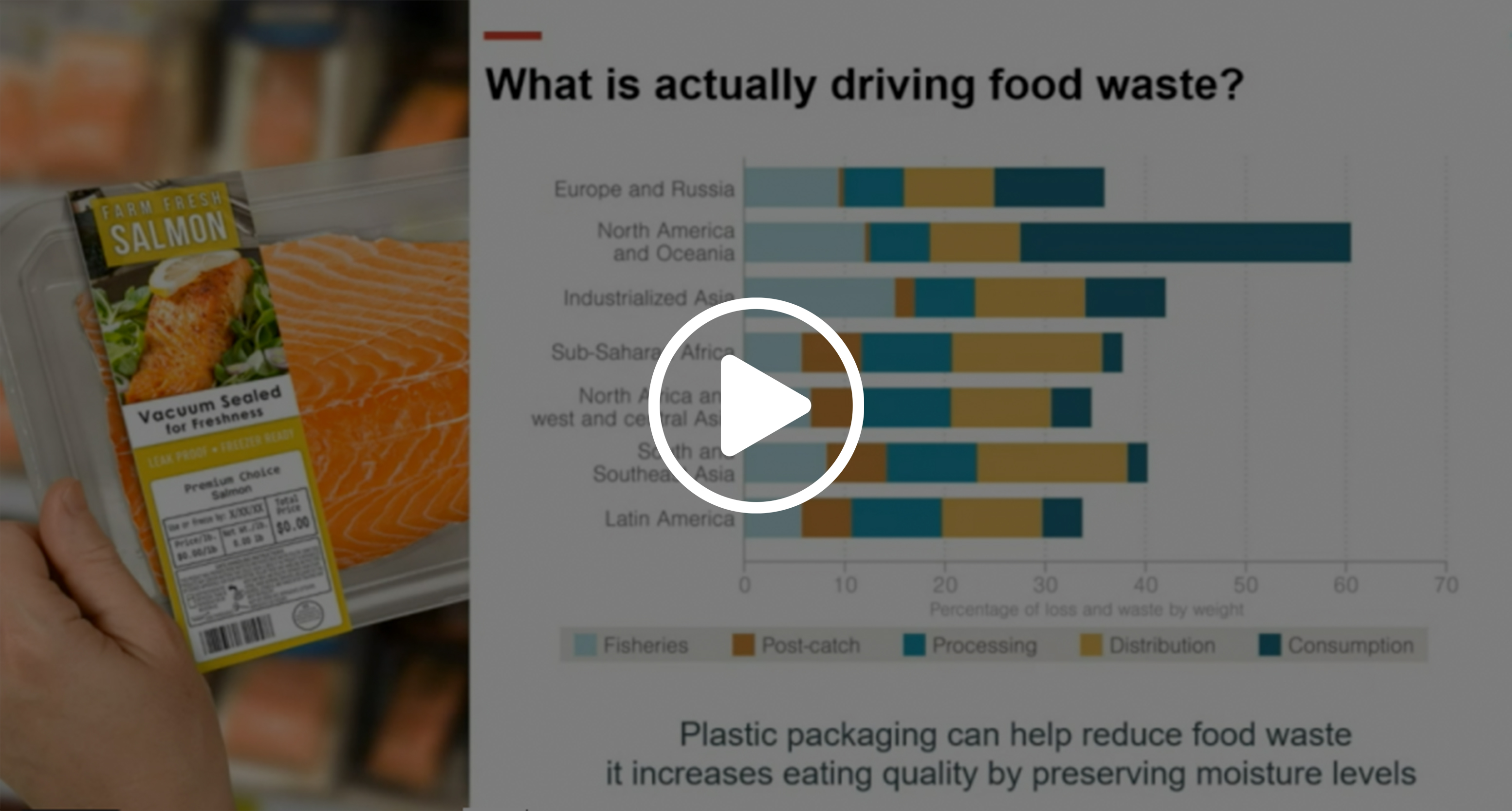 seafood webinar