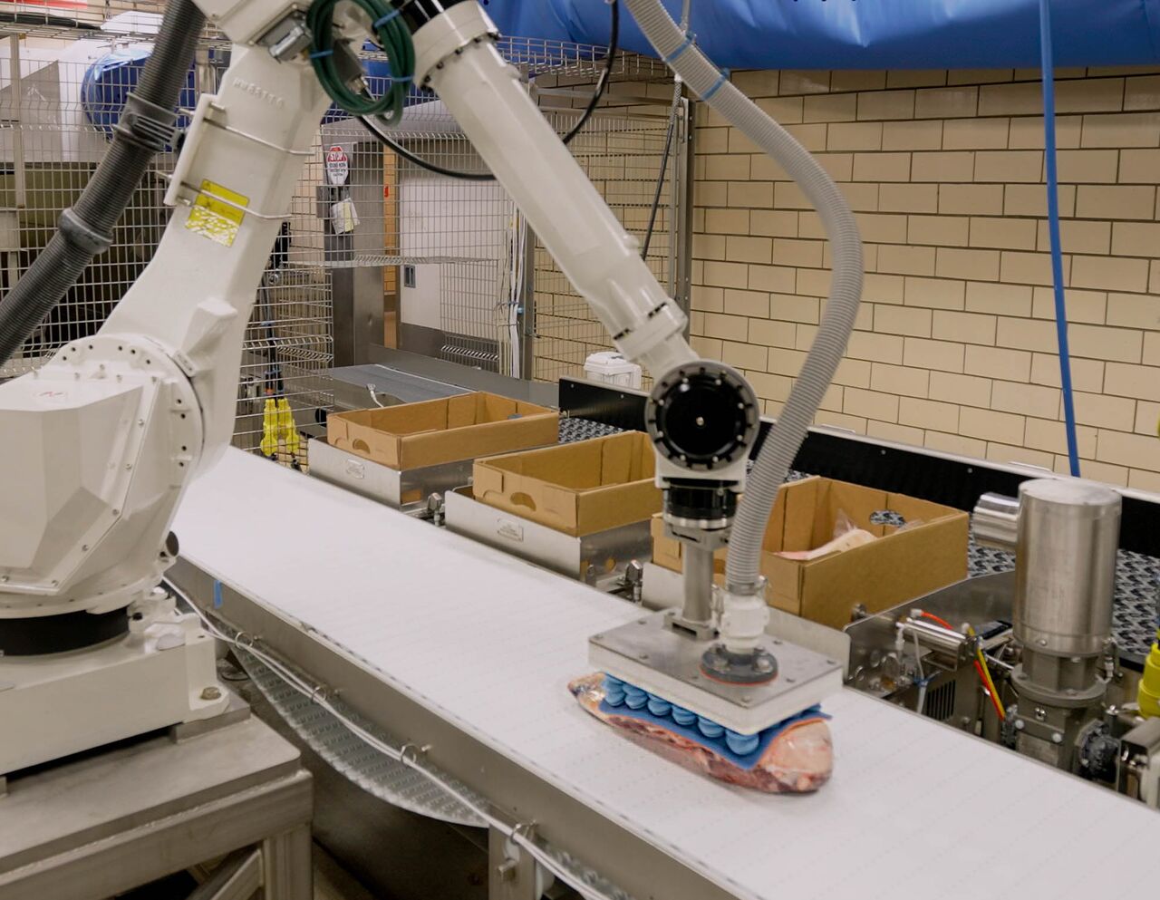 proteins-automation-auto-assist-pack-off-robot-4-square