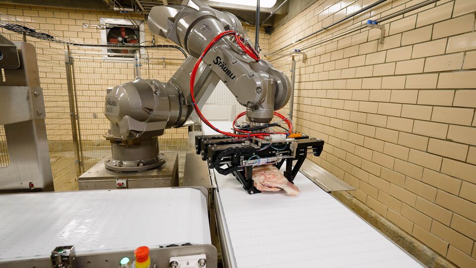 proteins-automation-auto-assist-pick-and-place-robot-3