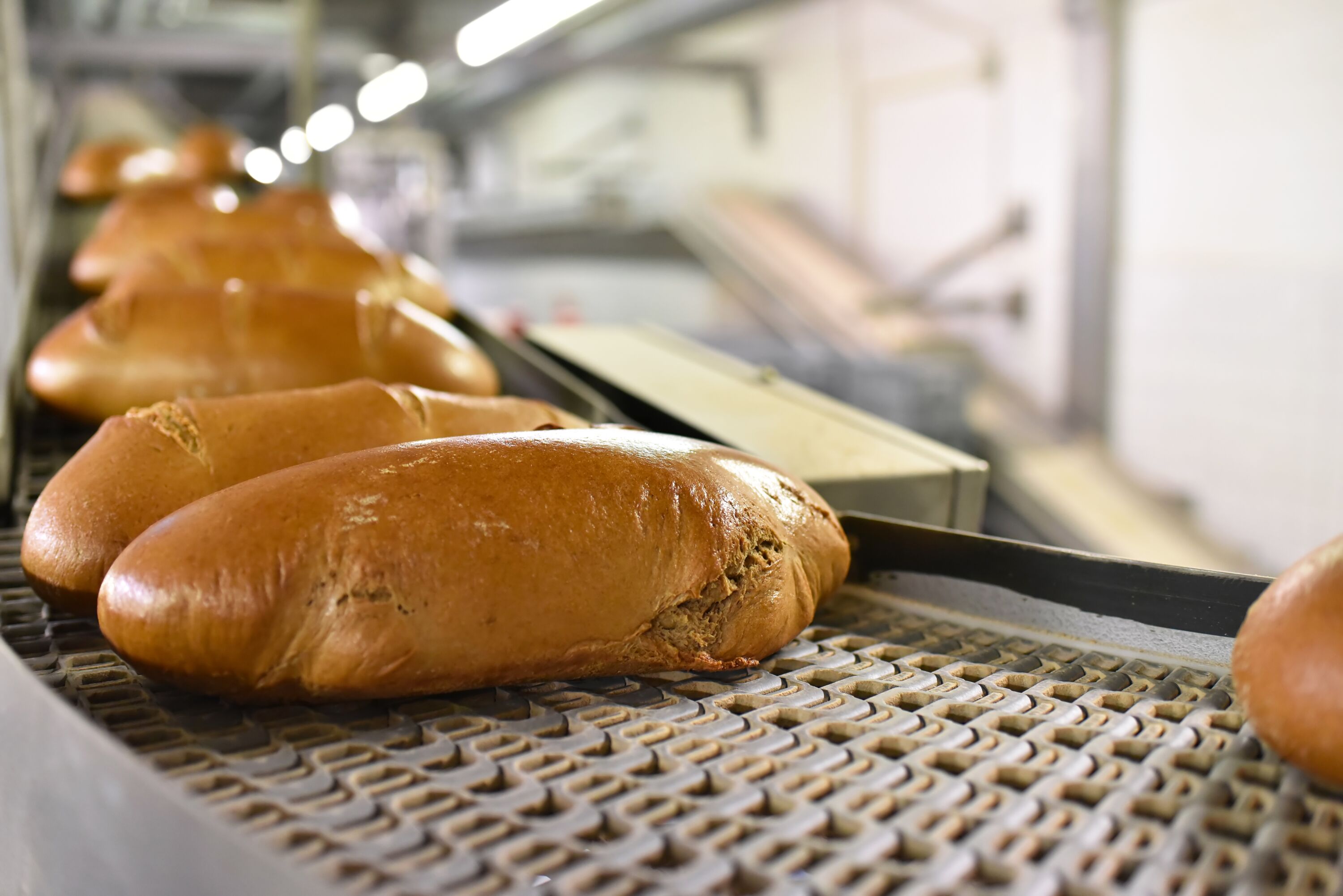 Fliessband mit Broten in einer Fabrik // Conveyor with breads in a factory - Shipping in the wholesale bakery