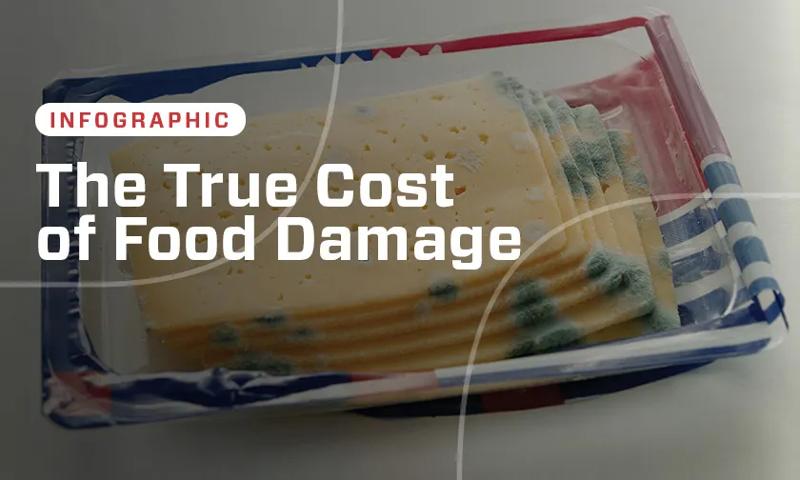 EducationalResources_CostOfFoodDamage_Thumbnail copy