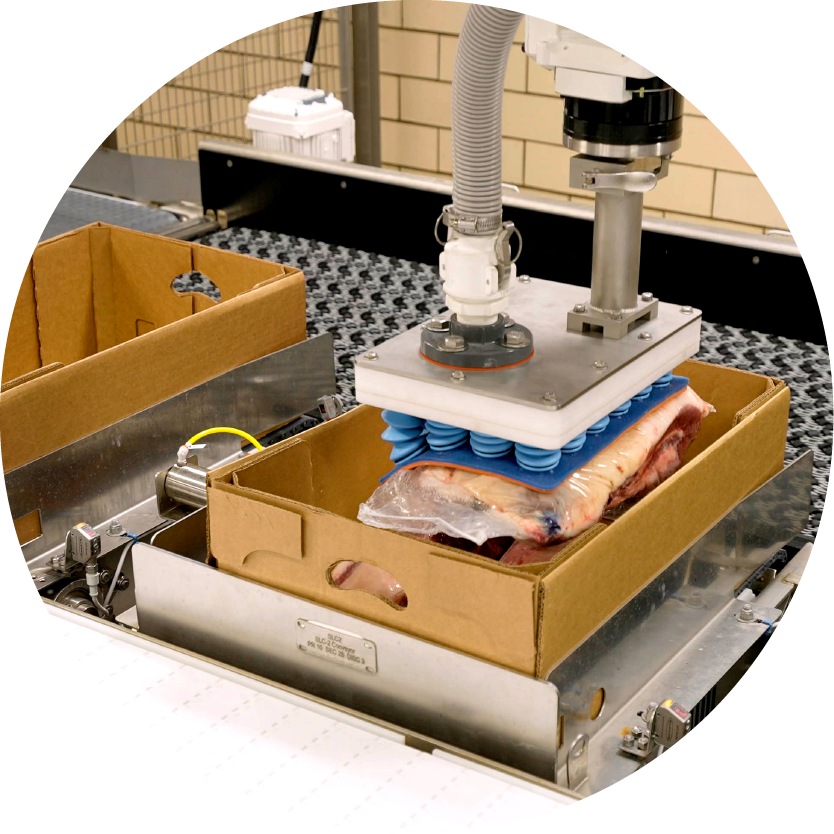 proteins-automation-touchless-technology-mv