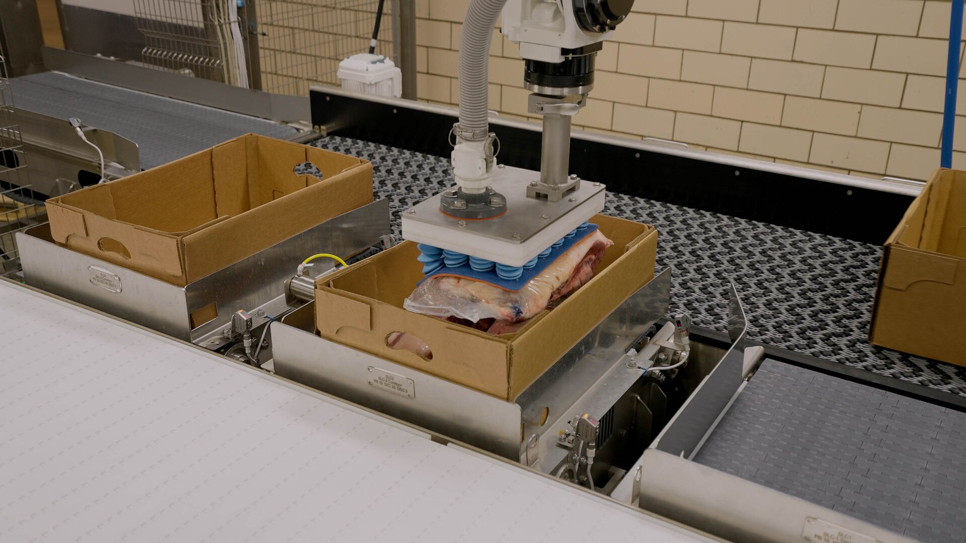 proteins-automation-auto-assist-pack-off-robot-5