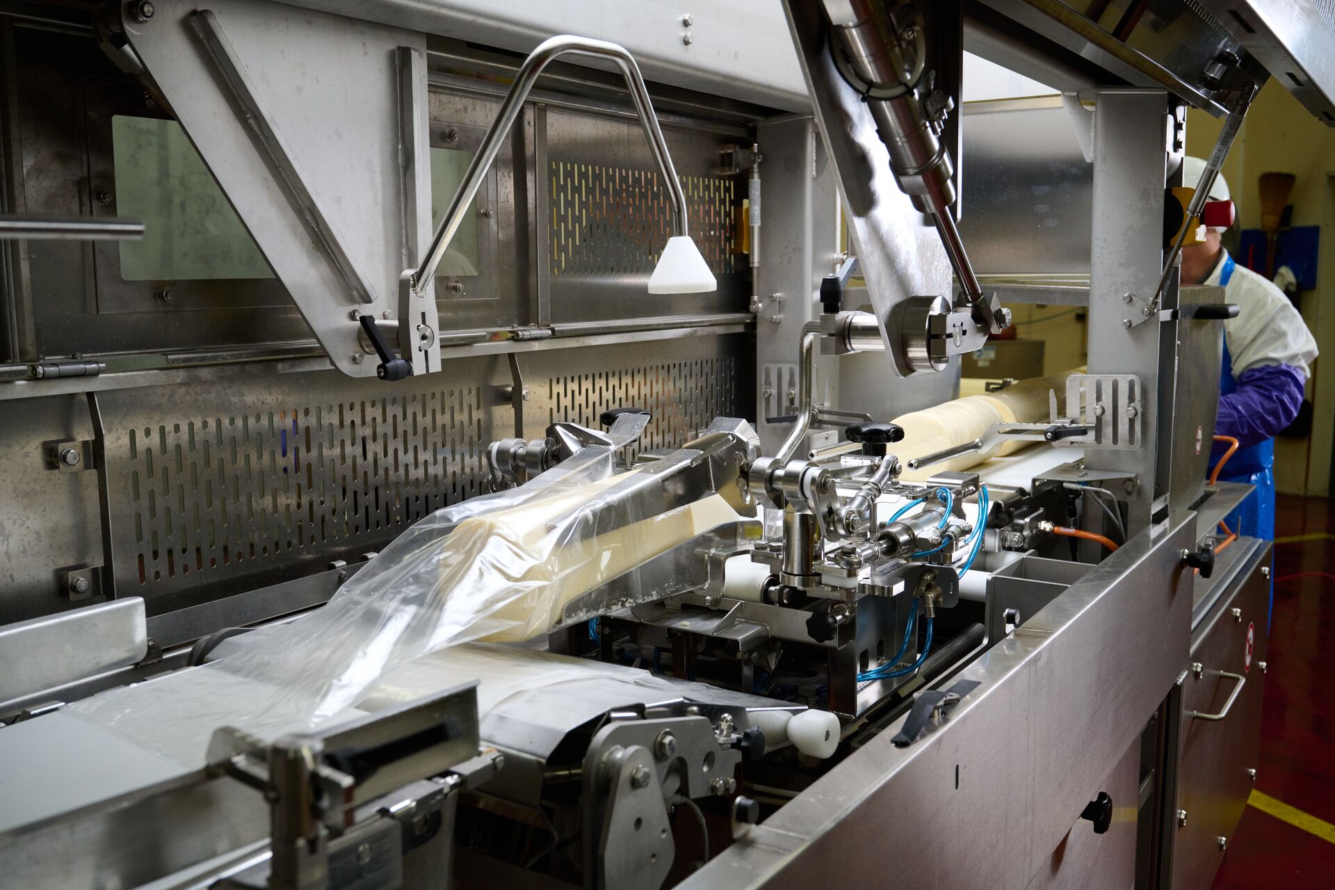 BL75-automated-bag-loader-processed-dairy-cheese-loading-9