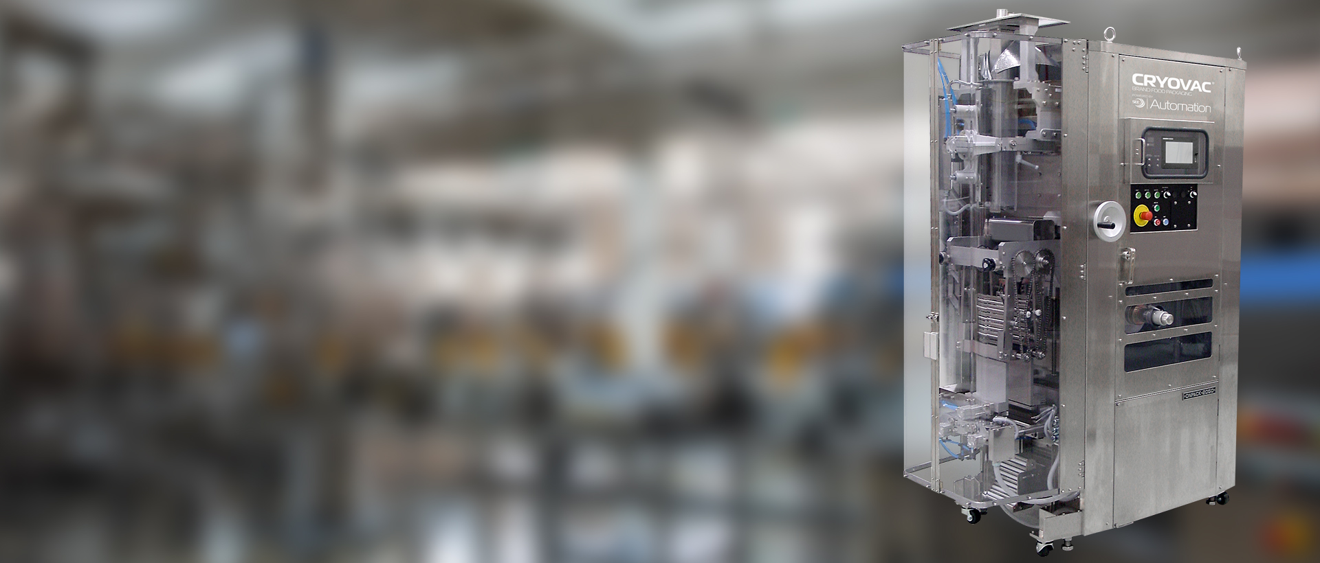 PDP-Form Fill Seal Equipments-4