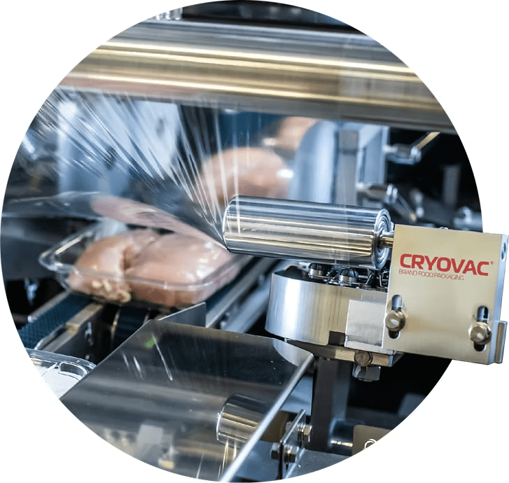 image-of-poultry-packaging-automation