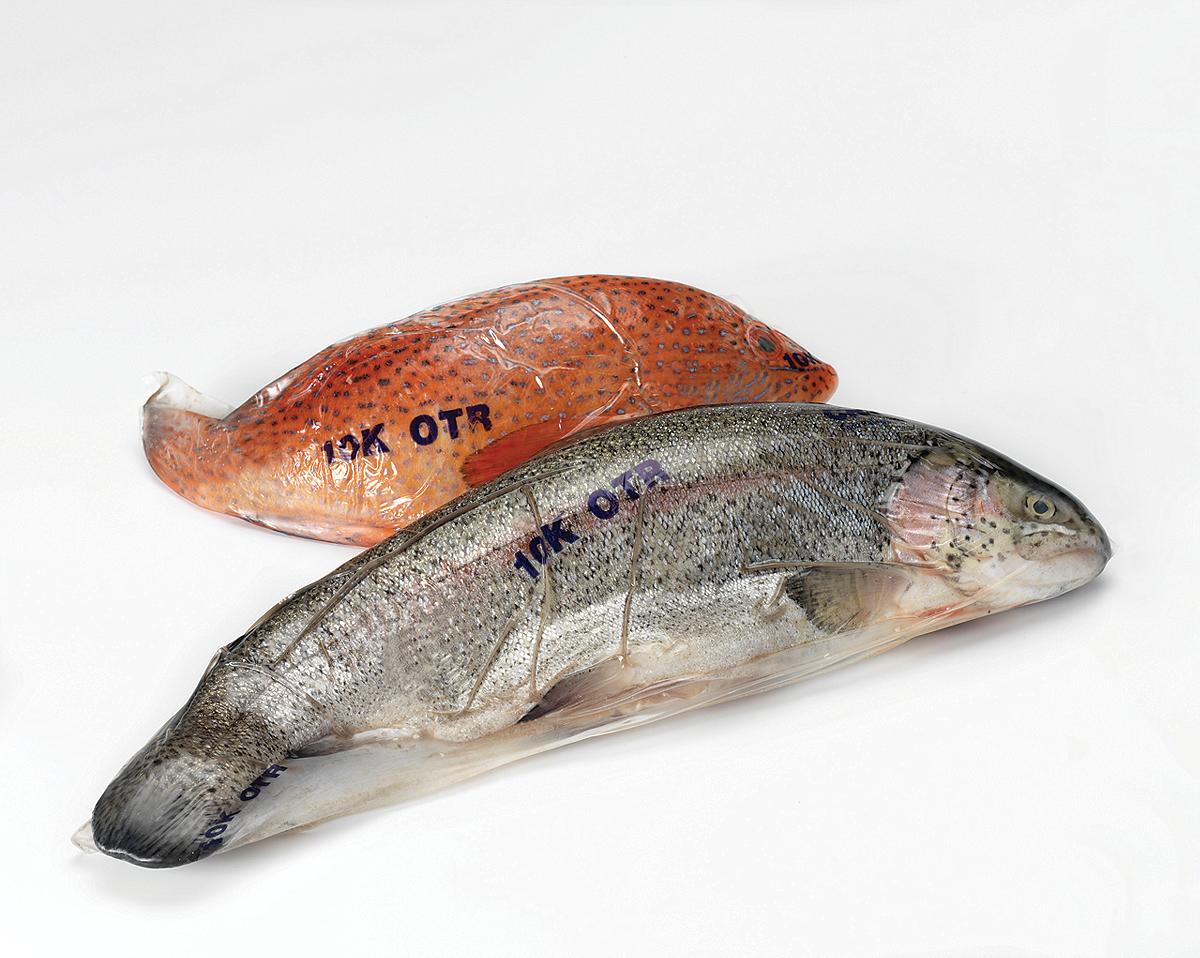 Breathable-Non-Barrier-Shrink-Bag-10K-2WholeFish1200