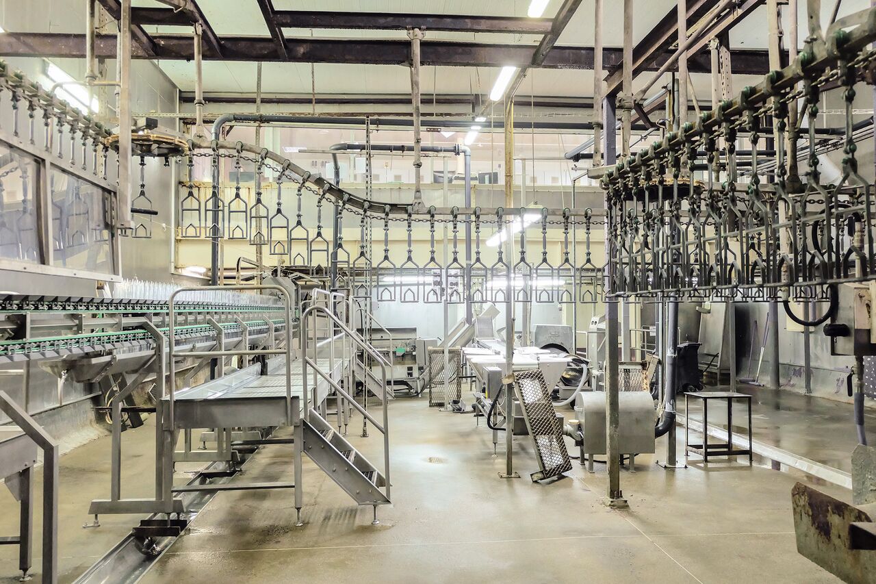 Empty butchering workshop poultry with overhead conveyor. Poultry processing plant line. Production of chicken meat