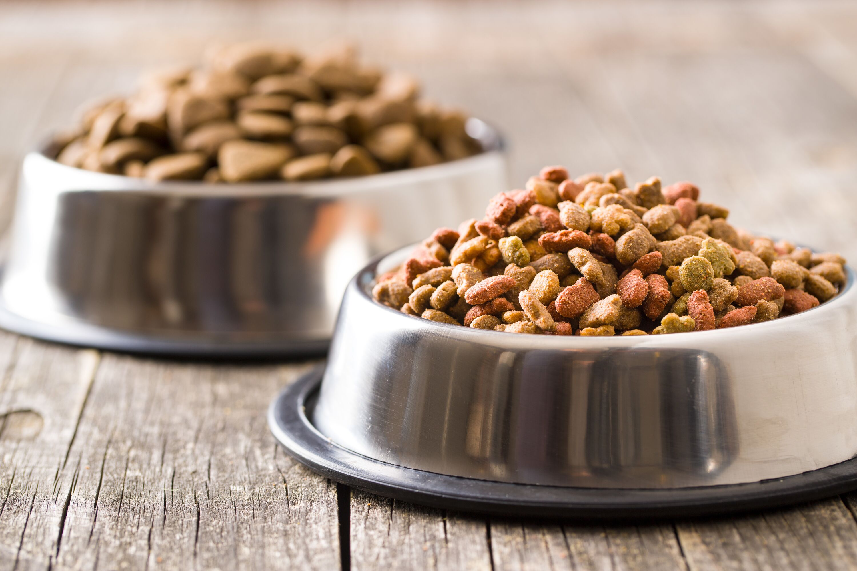 Dry pet food. Dry kibble food