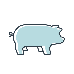 Pork