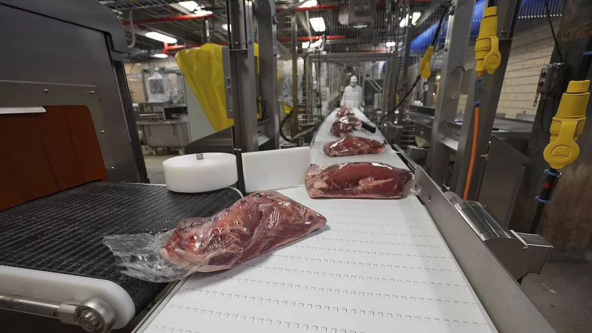 proteins-automation-auto-assist-pack-off-conveyor-meat-packaging-automation-1