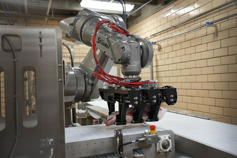 proteins-automation-auto-assist-pick-and-place-robot-6
