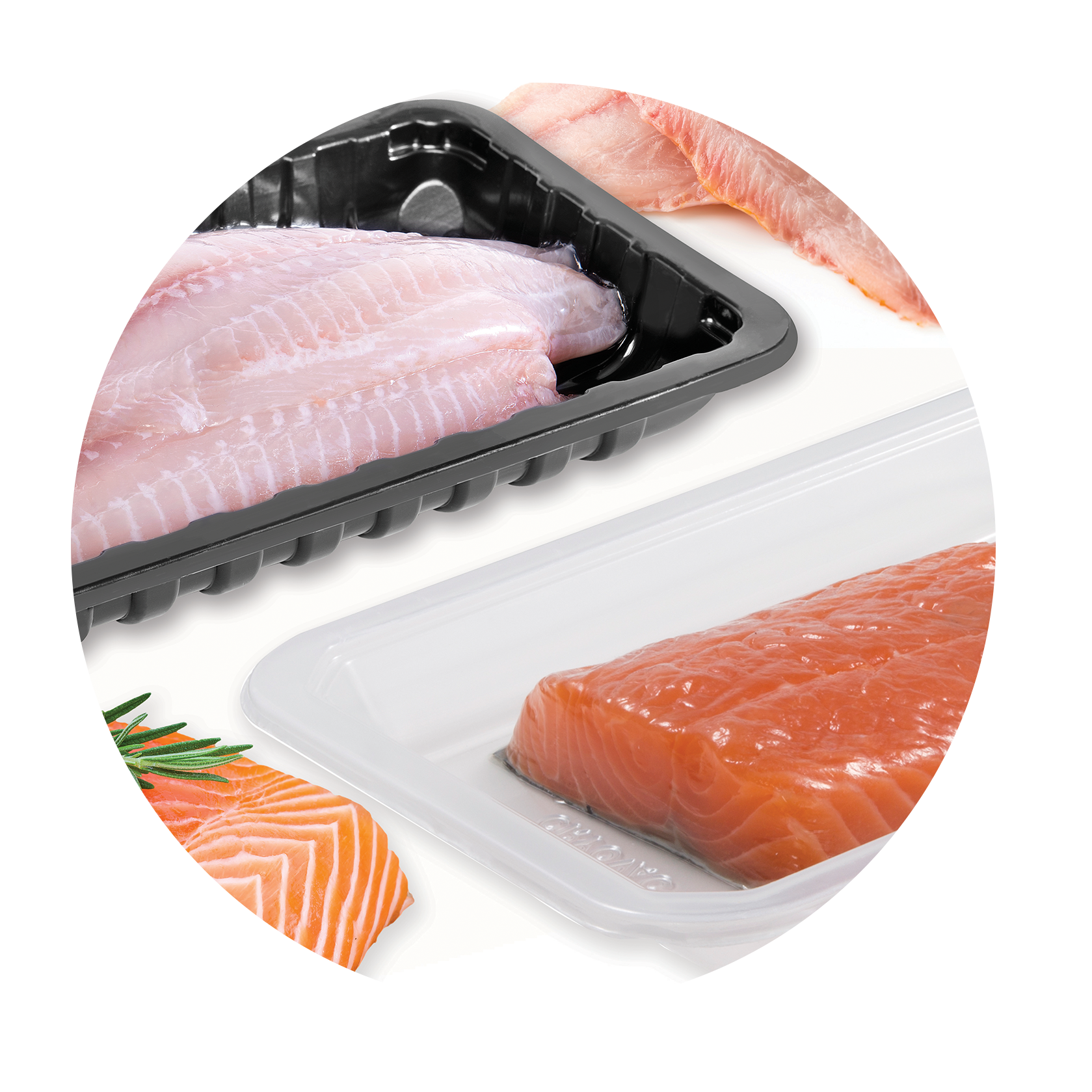 packaged seafood