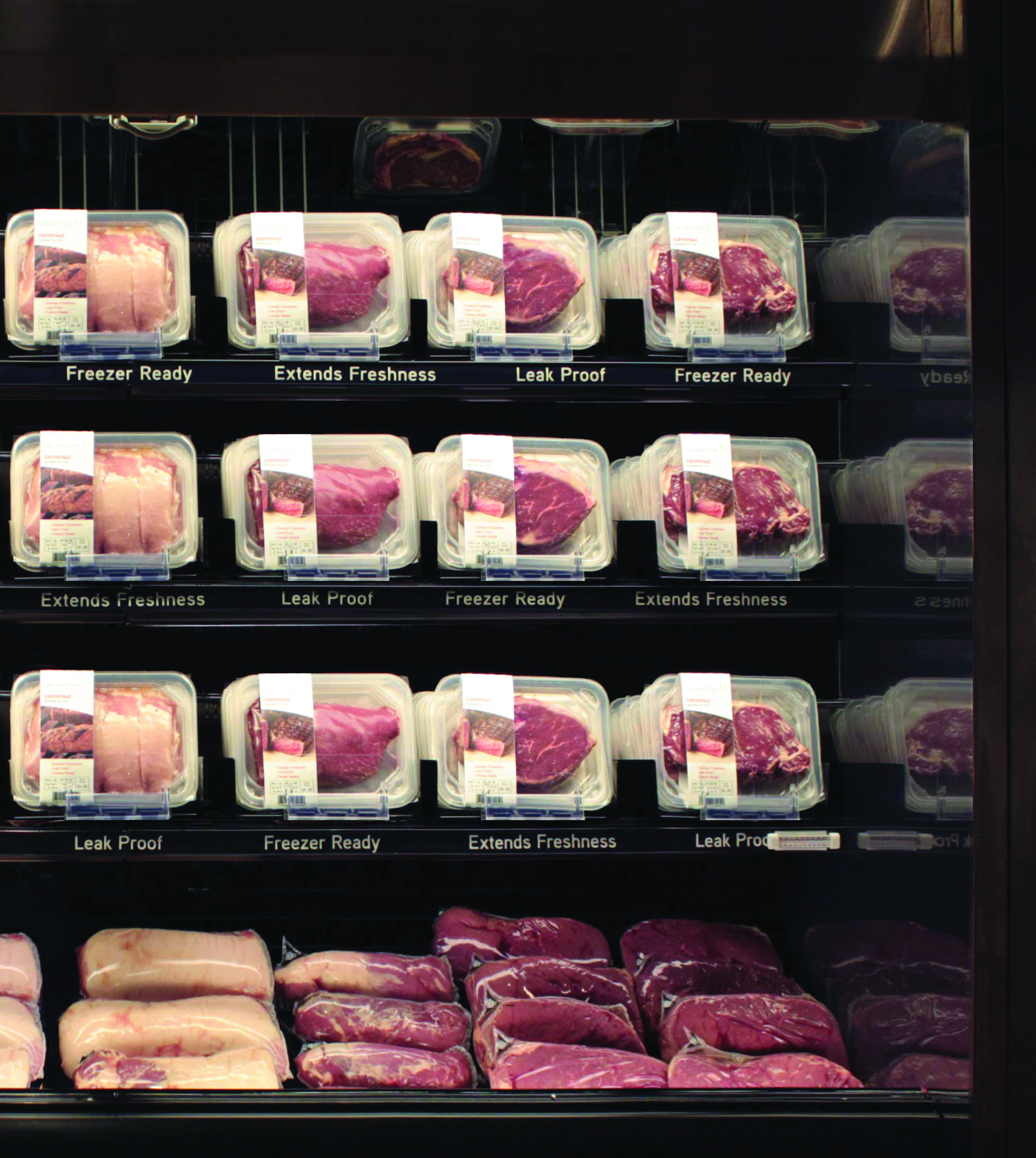 Beef Case copy