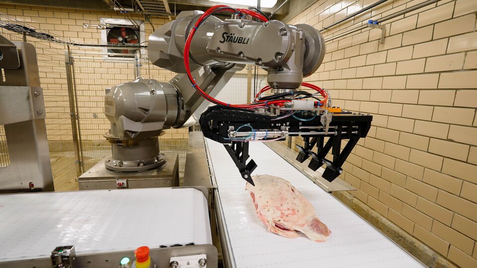 proteins-automation-auto-assist-pick-and-place-robot-2