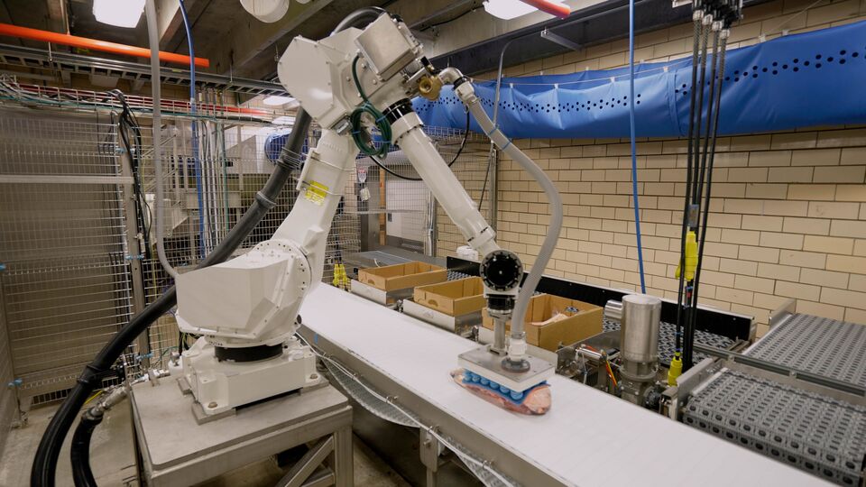proteins-automation-auto-assist-pack-off-robot-4