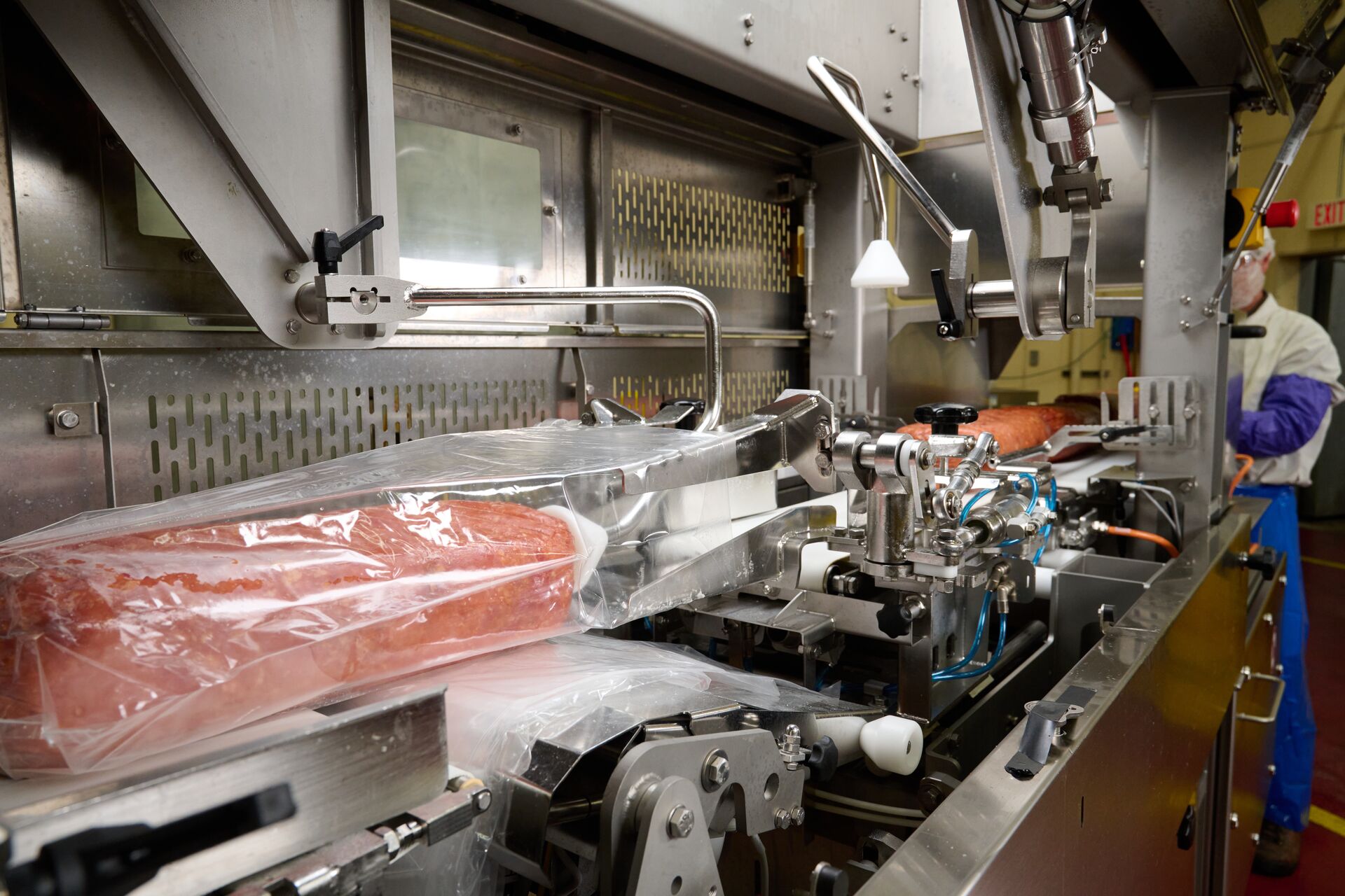 BL75-automated-bag-loader-processed-ham-product-loading-8