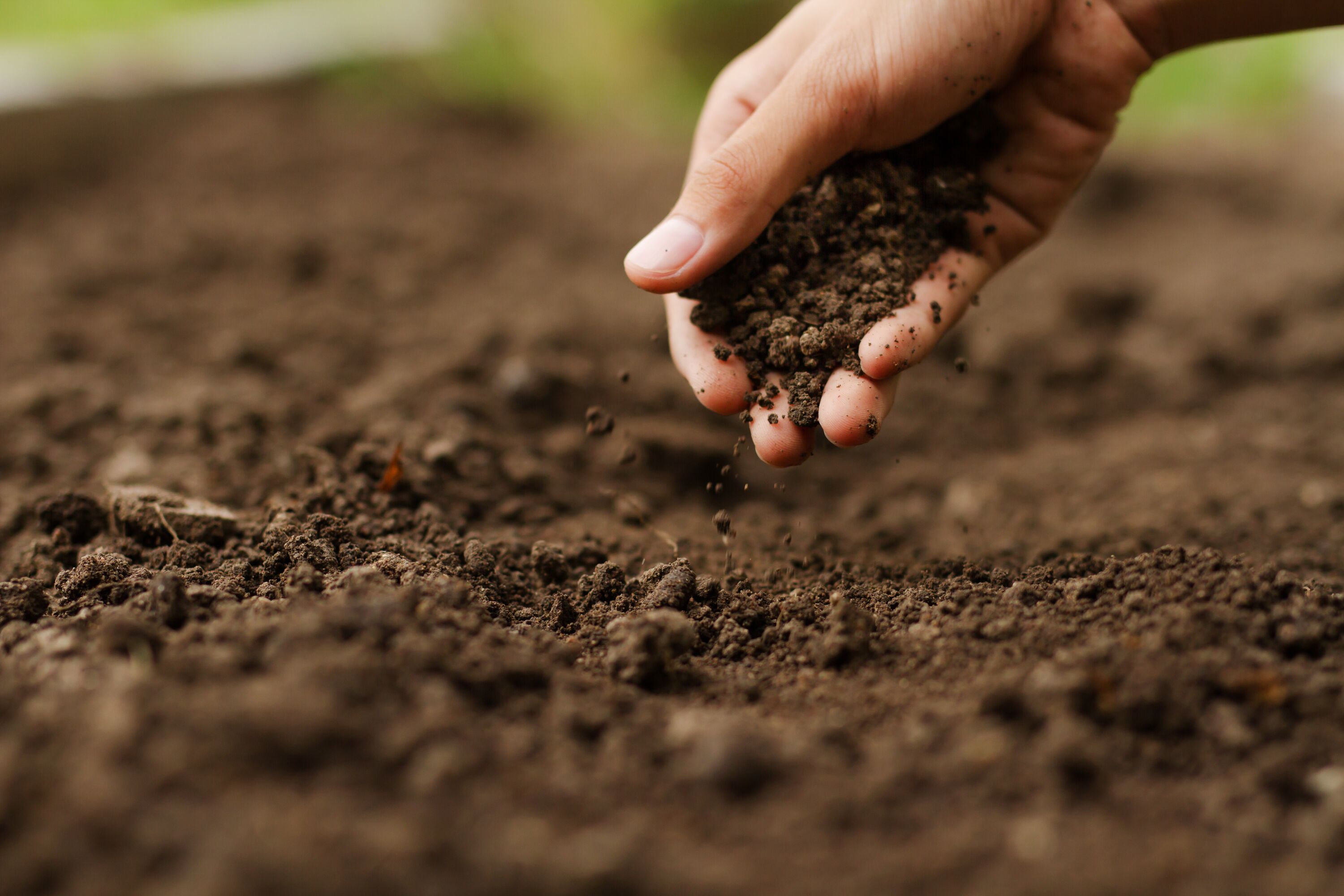 Expert hand of farmer checking soil health before growth a seed of vegetable or plant seedling. Gardening technical, Agriculture concept